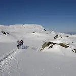 Le Paradoxe Des Pyrenees