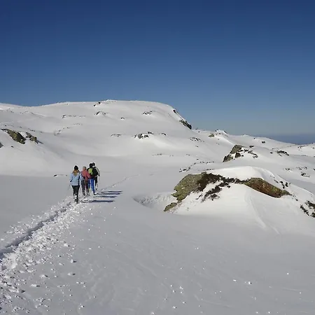 Le Paradoxe Des Pyrenees