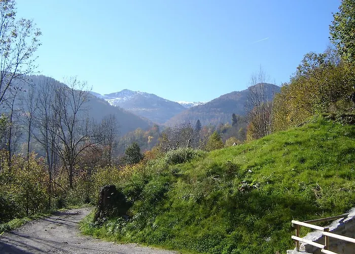 Le Paradoxe Des Pyrenees Montferrier