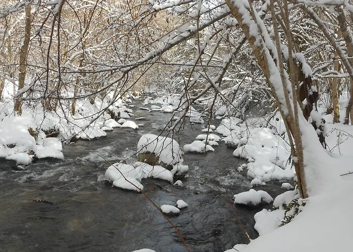 Le Paradoxe Des Pyrenees Semesterbostad *